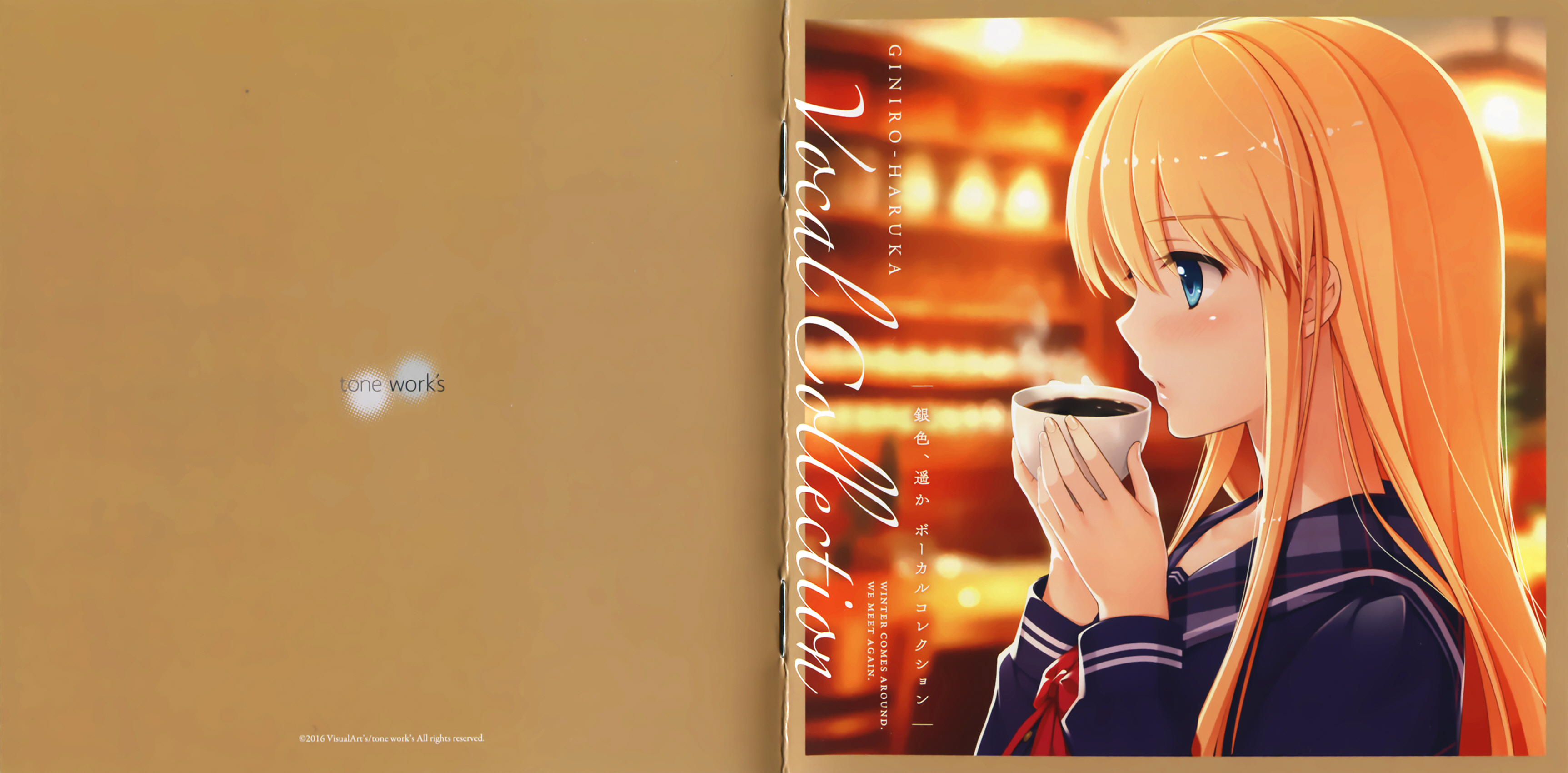 Amazon.co.jp: tone work's Perfect Vocal Collection 限定生産
